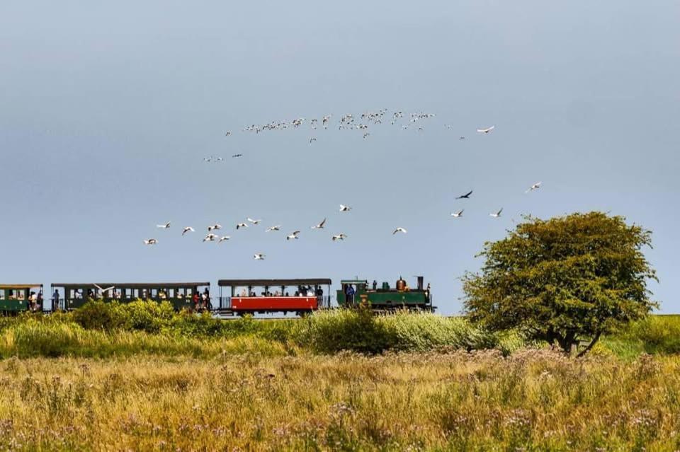 Gites La Baie Des Remparts Meuble Les Avocettes Saint-Valéry-sur-Somme Eksteriør bilde
